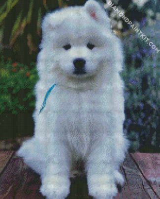 Aesthetic Samoyed diamond painting