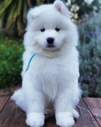 Aesthetic Samoyed diamond painting