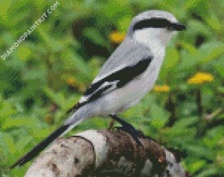 Aesthetic Shrike Illustration diamond painting