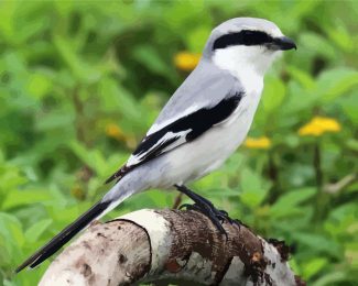 Aesthetic Shrike Illustration diamond painting