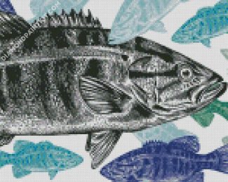 Grey Smallmouth diamond painting