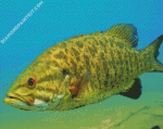 Aesthetic Smallmouth diamond painting