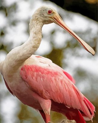 Aesthetic Spoonbill diamond painting