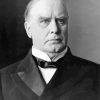 Aesthetic William McKinley diamond painting