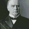 Aesthetic William McKinley diamond painting