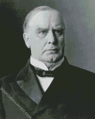 Aesthetic William McKinley diamond painting