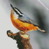 Aesthetic Beautiful Nuthatch Bird diamond painting