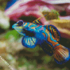 Aesthetic Colorful Fish diamond painting