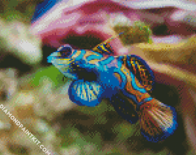 Aesthetic Colorful Fish diamond painting