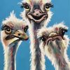 Aesthetic Ostriches diamond painting