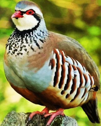 Aesthetic Partridge Bird diamond painting