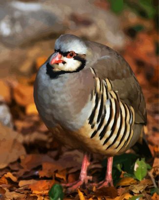 Aesthetic Partridge diamond painting