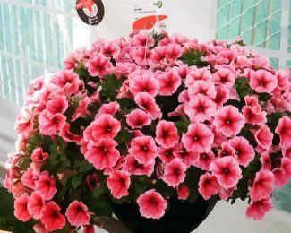 Aesthetic Pink Petunias diamond painting