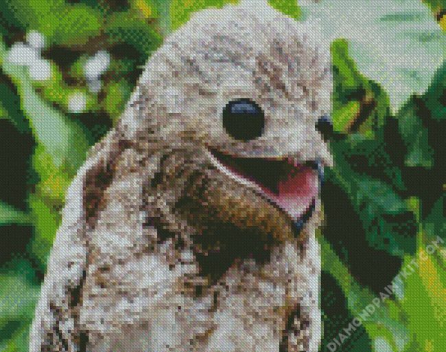 Aesthetic Potoo Bird Illustration diamond painting