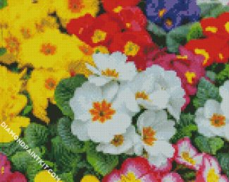 Aesthetic Primroses diamond painting