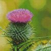 Aesthetic Scottish Thistle diamond painting