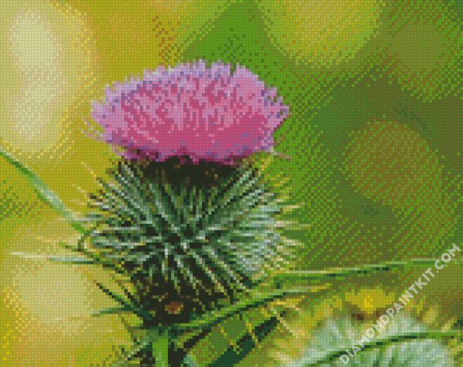 Aesthetic Scottish Thistle diamond painting