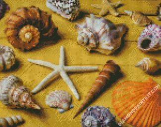 Aesthetic Seashell diamond painting