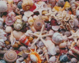 Aesthetic Seashells Illustration diamond painting