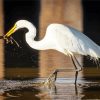 Aesthetic White Egret diamond painting