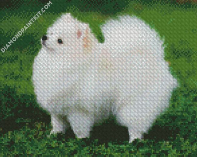 Aesthetic White Pomeranian diamond painting