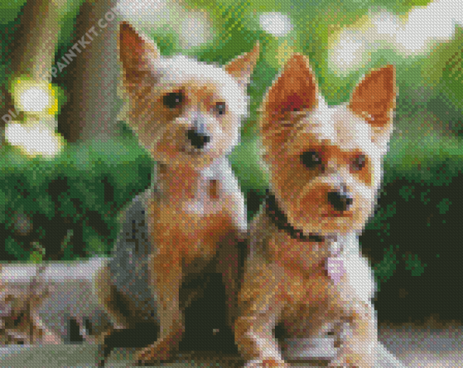 Aesthetic Yorkies diamond painting