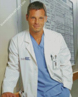 Alex Karev Greys Anatomy diamond painting