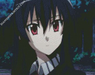 Anime Akame Ga Kill diamond painting