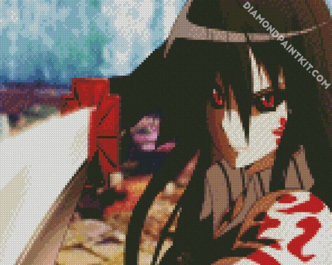 Anime Girl Akame diamond painting