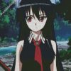 Anime Girl Akame Ga Kill diamond painting