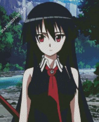 Anime Girl Akame Ga Kill diamond painting