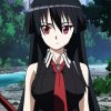 Anime Girl Akame Ga Kill diamond painting