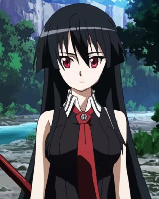 Anime Girl Akame Ga Kill diamond painting