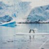 Antarctica Seascapes diamond painting