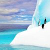 Antarctica Iceberg Penguins diamond painting