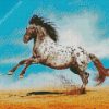 Appaloosa Animal diamond painting