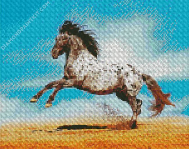 Appaloosa Animal diamond painting