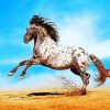 Appaloosa Animal diamond painting