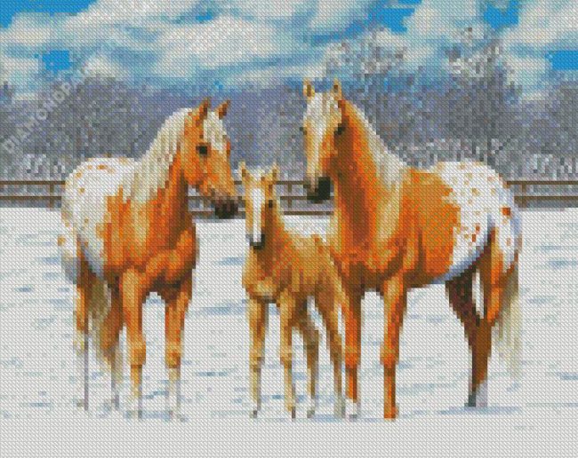 Appaloosa Family Art diamond painting