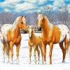 Appaloosa Family Art diamond painting