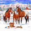 Appaloosa Horses Family diamond painting