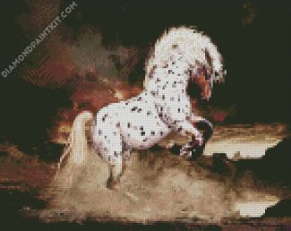 Appaloosa Horse Art diamond painting