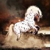 Appaloosa Horse Art diamond painting