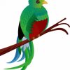 Art Quetzal Bird diamond painting