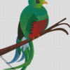 Art Quetzal Bird diamond painting