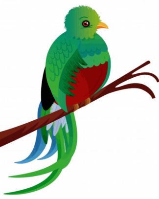 Art Quetzal Bird diamond painting