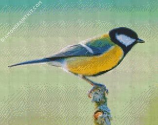 Beautiful Parus Bird diamond painting