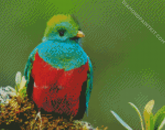 Beautiful Quetzal diamond painting