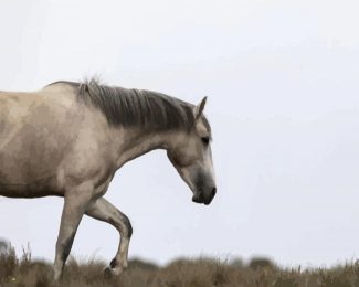 Beige Brumby Horse diamond painting