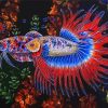 Betta Fish diamond painting